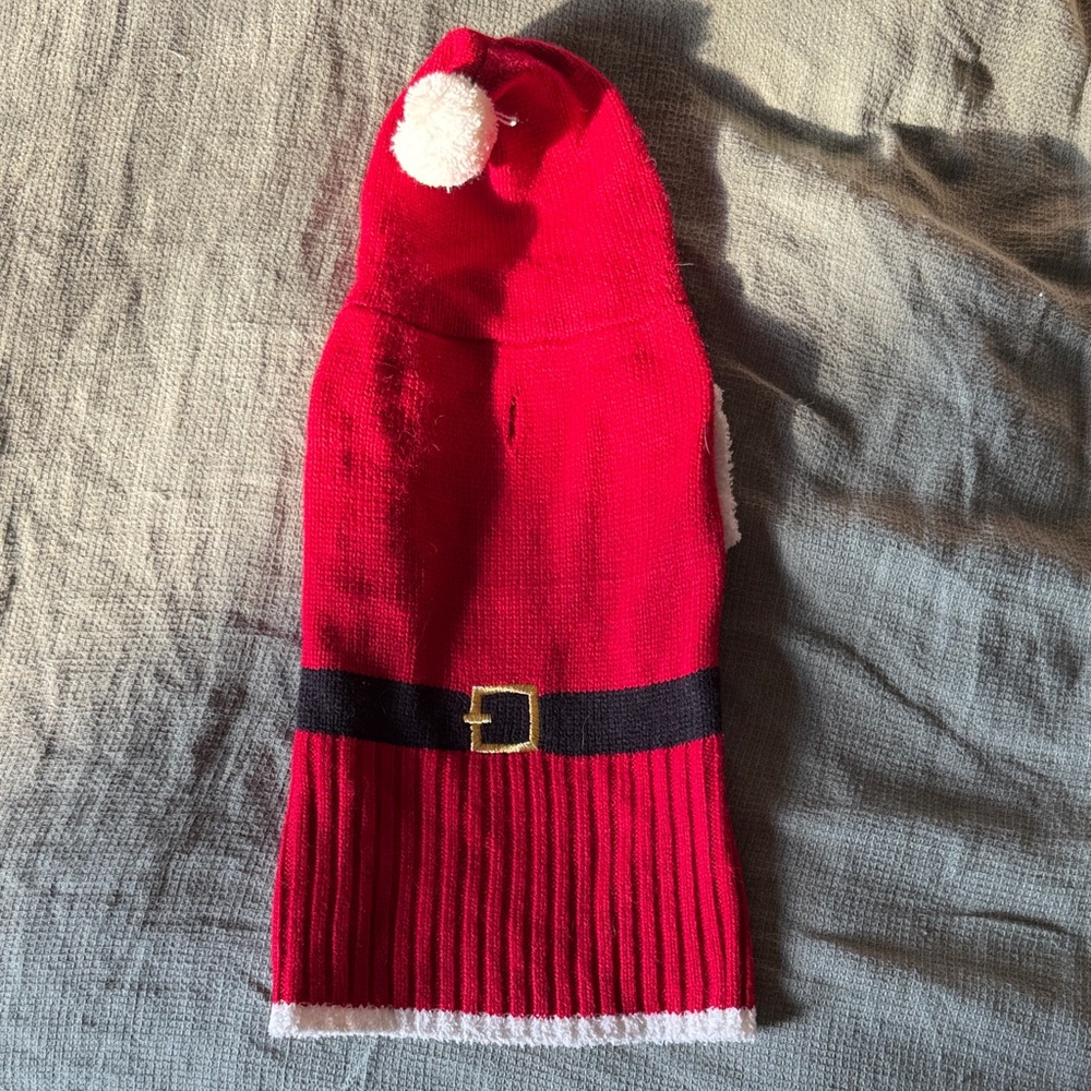 Festive Red Dog Sweater with Santa Hat
